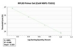 Novus Biologicals™ Chromata ChIP Histone H3 [Monomethyl Lys9] Kit (ChIP)
